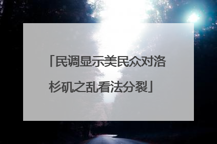 民调显示美民众对洛杉矶之乱看法分裂