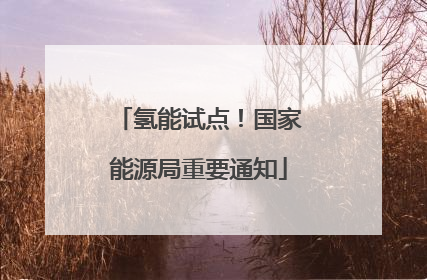 氢能试点！国家能源局重要通知