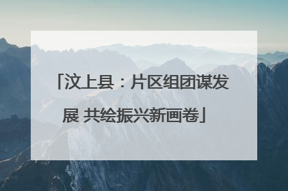 汶上县：片区组团谋发展 共绘振兴新画卷