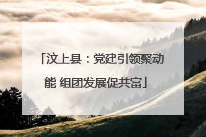 汶上县：党建引领聚动能 组团发展促共富