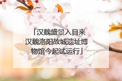 汉魏盛景入目来 汉魏洛阳故城遗址博物馆今起试运行