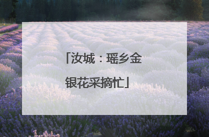 汝城：瑶乡金银花采摘忙