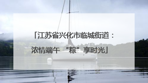 江苏省兴化市临城街道：浓情端午 “粽”享时光