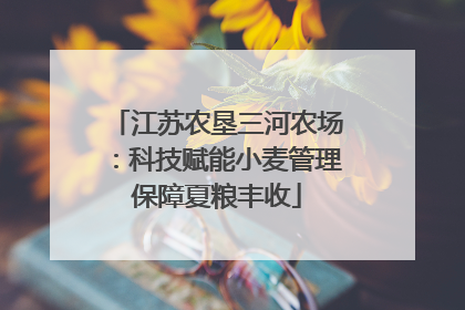 江苏农垦三河农场：科技赋能小麦管理保障夏粮丰收