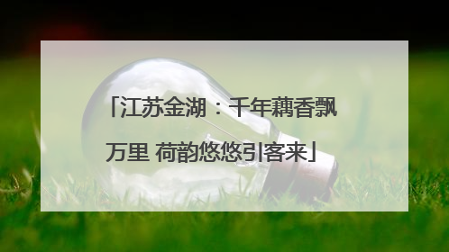 江苏金湖：千年藕香飘万里 荷韵悠悠引客来