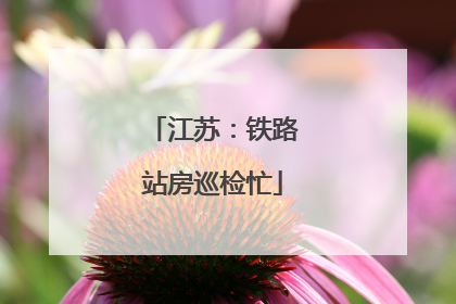江苏：铁路站房巡检忙