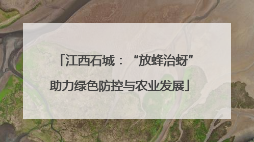江西石城：“放蜂治蚜”助力绿色防控与农业发展