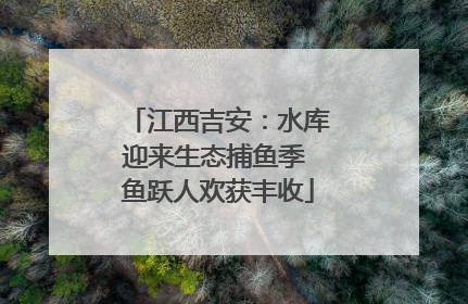 江西吉安：水库迎来生态捕鱼季 鱼跃人欢获丰收
