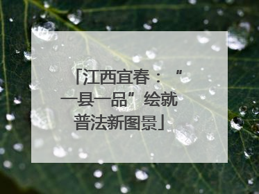 江西宜春：“一县一品”绘就普法新图景