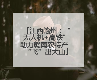 江西赣州：“无人机+高铁”助力赣南农特产“飞”出大山