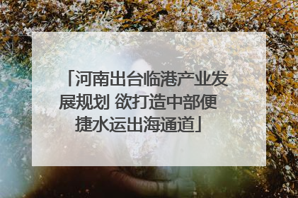 河南出台临港产业发展规划 欲打造中部便捷水运出海通道