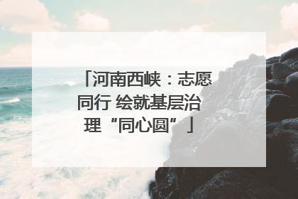 河南西峡：志愿同行 绘就基层治理“同心圆”