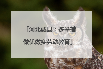 河北威县：多举措做优做实劳动教育