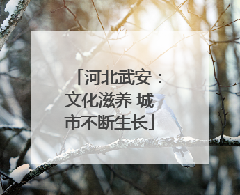 河北武安：文化滋养 城市不断生长