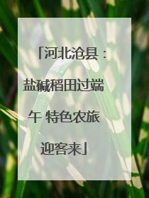 河北沧县：盐碱稻田过端午 特色农旅迎客来