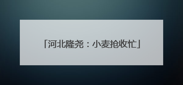 河北隆尧：小麦抢收忙