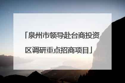 泉州市领导赴台商投资区调研重点招商项目