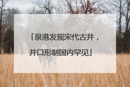 泉港发现宋代古井，井口形制国内罕见