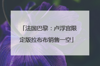 法国巴黎：卢浮宫限定版拉布布销售一空