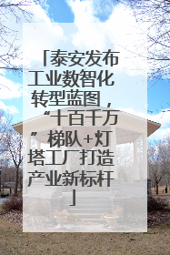 泰安发布工业数智化转型蓝图，“十百千万”梯队+灯塔工厂打造产业新标杆