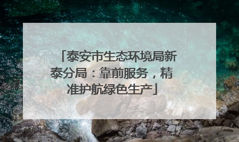 泰安市生态环境局新泰分局：靠前服务，精准护航绿色生产