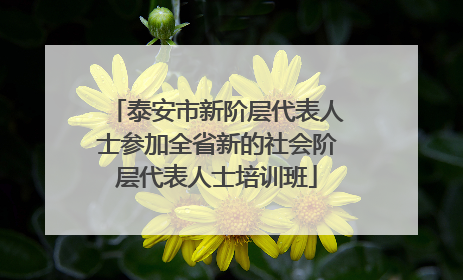 泰安市新阶层代表人士参加全省新的社会阶层代表人士培训班