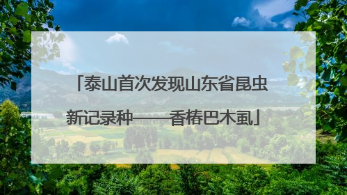 泰山首次发现山东省昆虫新记录种——香椿巴木虱