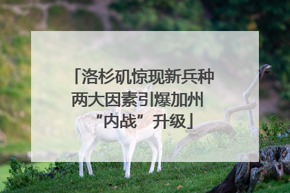洛杉矶惊现新兵种 两大因素引爆加州“内战”升级