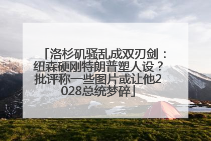 洛杉矶骚乱成双刃剑：纽森硬刚特朗普塑人设？批评称一些图片或让他2028总统梦碎