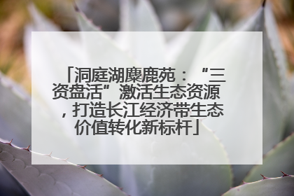 洞庭湖麋鹿苑：“三资盘活”激活生态资源，打造长江经济带生态价值转化新标杆