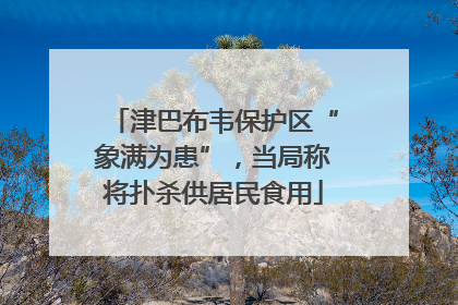 津巴布韦保护区“象满为患”，当局称将扑杀供居民食用