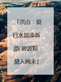 洪山：夏日水景添新韵 碧波粉黛入画来