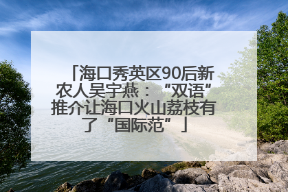 海口秀英区90后新农人吴宇燕：“双语”推介让海口火山荔枝有了“国际范”