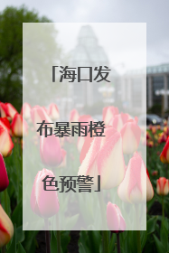 海口发布暴雨橙色预警