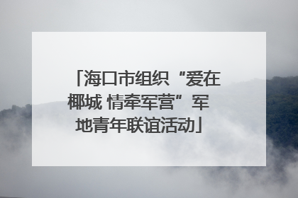 海口市组织“爱在椰城 情牵军营”军地青年联谊活动
