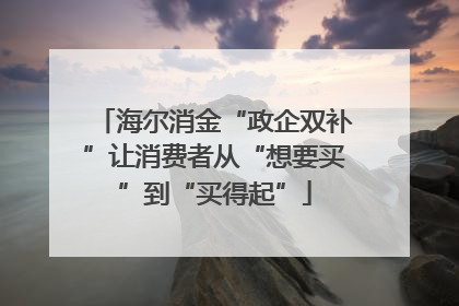 海尔消金“政企双补”让消费者从“想要买”到“买得起”
