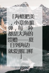 海蛏肥美，小章鱼脆弹，每一种都是大海的馈赠——夏日到海边 就爱那口鲜