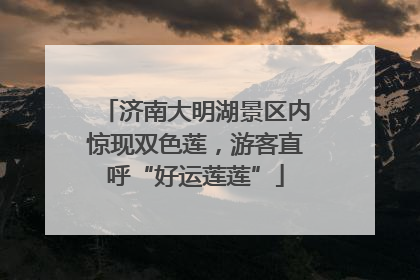 济南大明湖景区内惊现双色莲，游客直呼“好运莲莲”