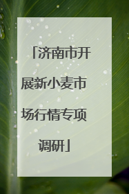 济南市开展新小麦市场行情专项调研