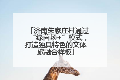 济南朱家庄村通过“绿茵场+”模式，打造独具特色的文体旅融合样板