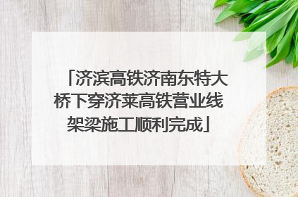济滨高铁济南东特大桥下穿济莱高铁营业线架梁施工顺利完成
