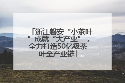 浙江磐安“小茶叶”成就“大产业”，全力打造50亿级茶叶全产业链