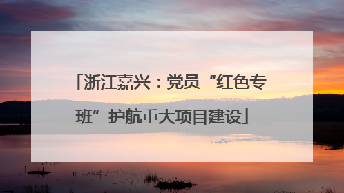 浙江嘉兴：党员“红色专班”护航重大项目建设
