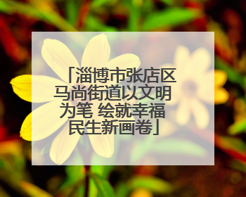 淄博市张店区马尚街道以文明为笔 绘就幸福民生新画卷