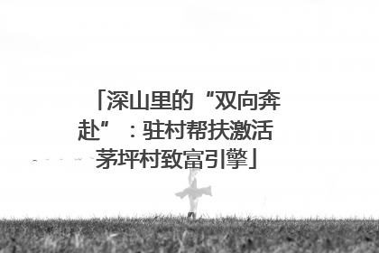 深山里的“双向奔赴”：驻村帮扶激活茅坪村致富引擎