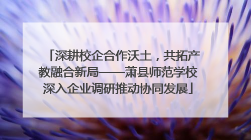 深耕校企合作沃土，共拓产教融合新局——萧县师范学校深入企业调研推动协同发展
