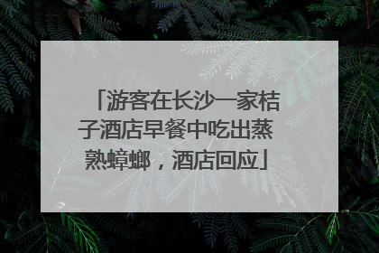 游客在长沙一家桔子酒店早餐中吃出蒸熟蟑螂，酒店回应