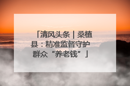 清风头条｜桑植县：精准监督守护群众“养老钱”