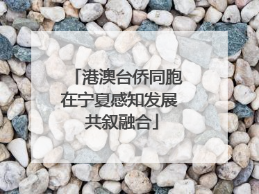 港澳台侨同胞在宁夏感知发展 共叙融合