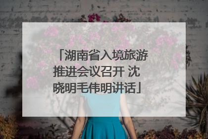 湖南省入境旅游推进会议召开 沈晓明毛伟明讲话
